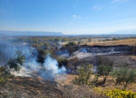 Συμβαίνει τώρα: Φωτιά στο ρέμα Καλλιφύτου (φωτογραφίες)